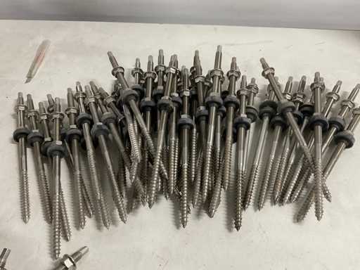 RVS stokschroef 250xM10 voor dakmontage zonnepaneel (48x)