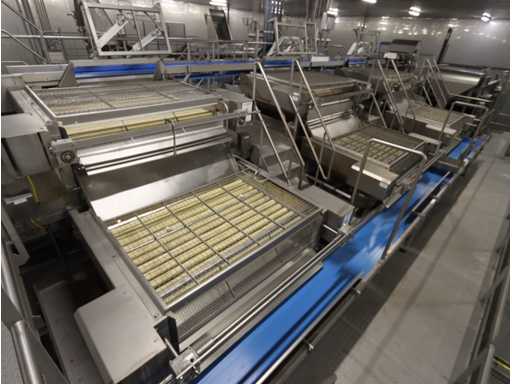 RVS aardappelsorteer inrichting