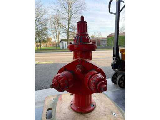 Roter Hydrant