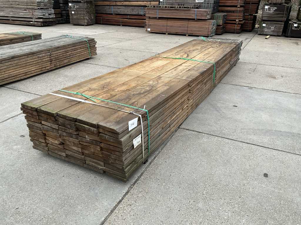 Plank Larik (60x)