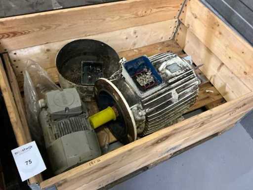 Motore elettrico (2x)