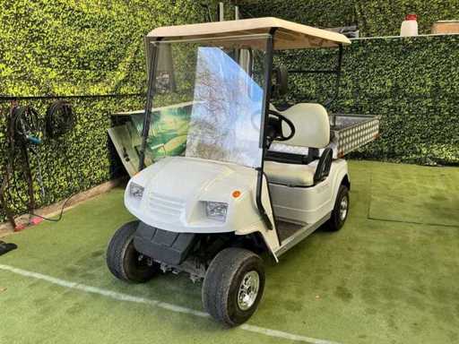 Wózek golfowy Bensel BS2 C