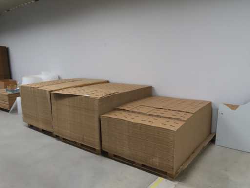 Verpakkingskarton (3x)