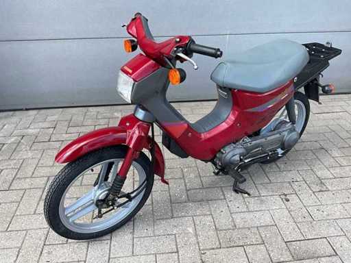 Honda Wallaroo DeLuxe Classe A 1996 - très bon état