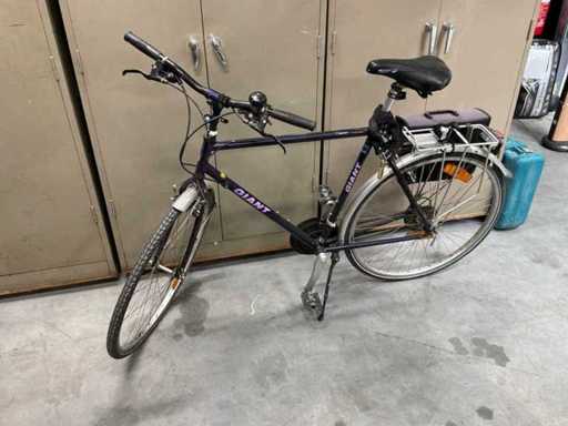 Vélo géant pour hommes