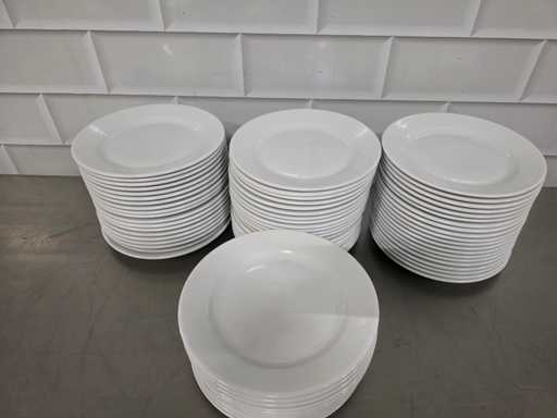 Placă de porțelan (72x)