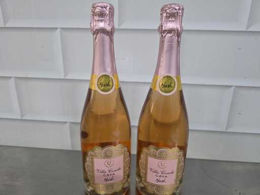 Mousserende wijn Villa Conchi Cava brut Blush fles (8x)