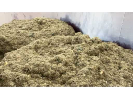 d81ef467-3a40-4cd4-b86e-7560fb16f4c0.mp4