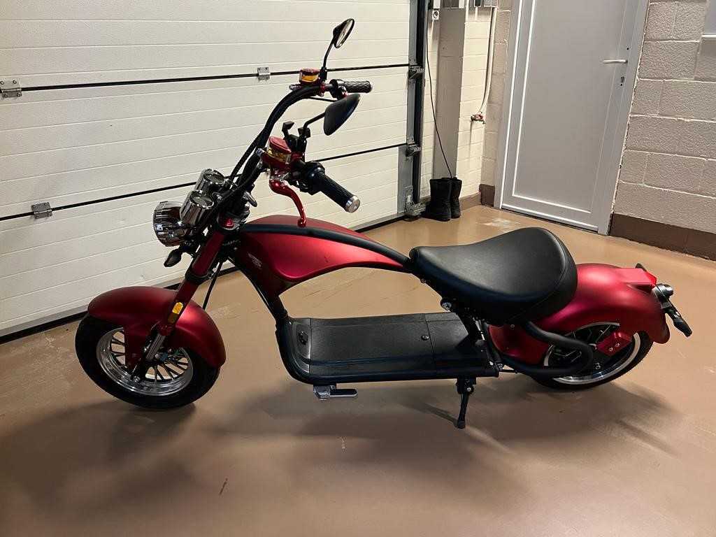 Mangosteen M1 E-scooter