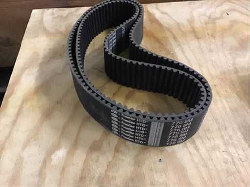 Cinghie di distribuzione