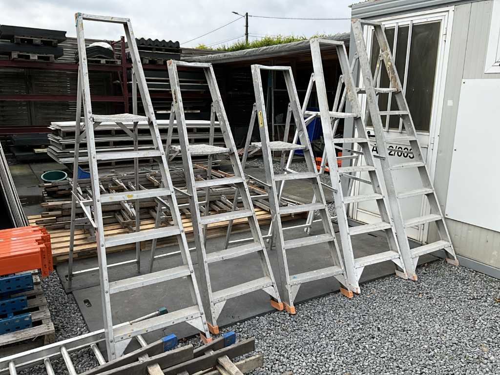Party of various ladders