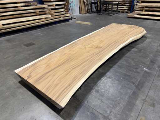 Suar boomstam tafelblad 450 cm.