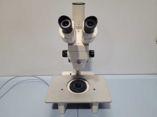 NIKON - SMZ-2T - Microscope - Stereo Microscope