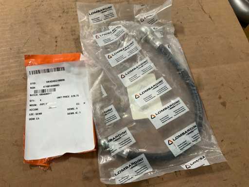 Lombardi i Tubo metallico (5x)