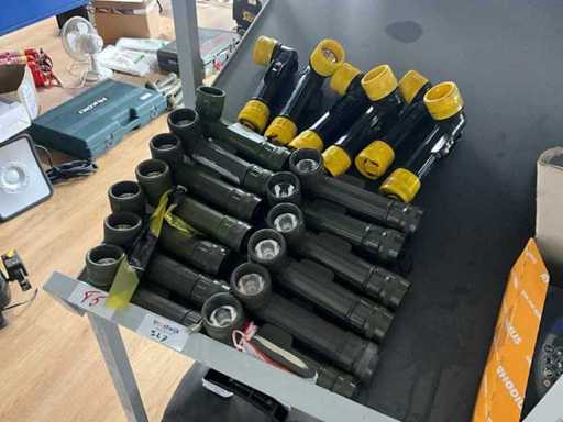 Latarka Fulton (19x)