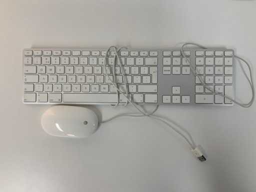 Apple - Clavier QWERTY filaire A1243 Magic + Souris Magic filaire A1152