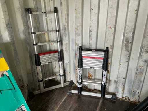 Altrex TL Smart Up Telescopische Ladder (2x)