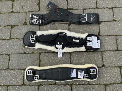 Belly band horses (3x)