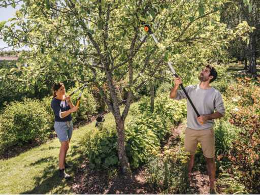 Multifunctionele snoeischaar. Telesc. FISKARS PowerGear™X UPX86 bereik 6m Ø32mm