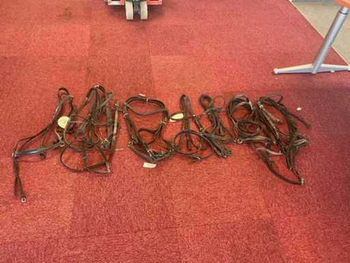 Bridles (7x)