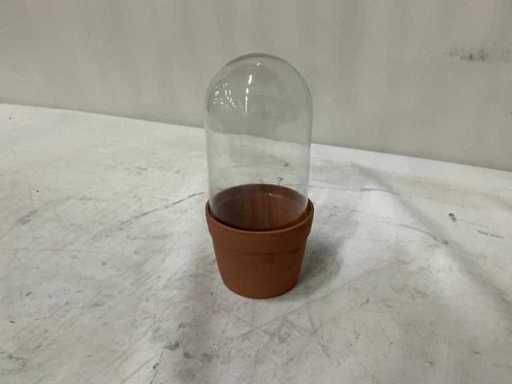 Terrarium Pot (6x)