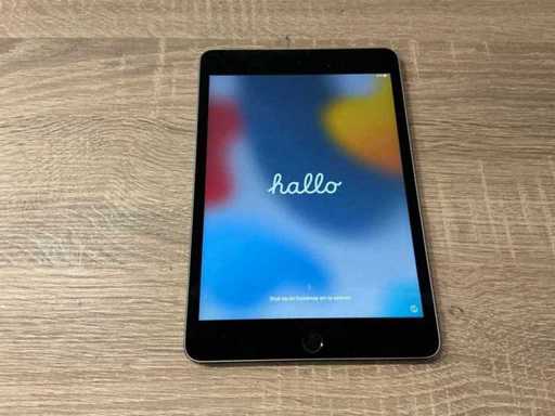 Apple Ipad mini (4th gen, 128gb) Tablet