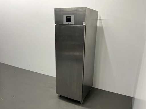 Liebherr - GGPv 6570 - Congélateur