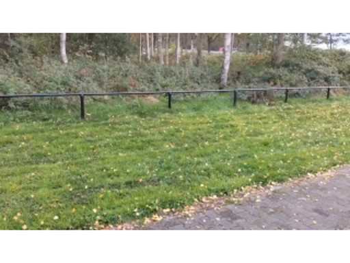 5adb5ff0-0832-46e4-ac25-2b6ffcc9d3ca.mp4