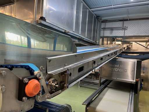 Motorized bone conveyor belt