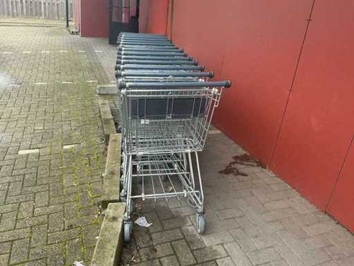 Boodschappen  karren en interne boodschappen mandjes op rollen.