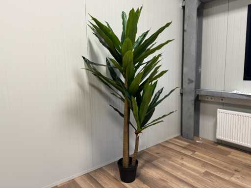 Sztuczna roślina Dracaena Real touch (190 cm wysokości)