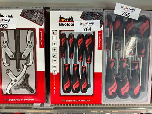 Set di cacciaviti Tengtools