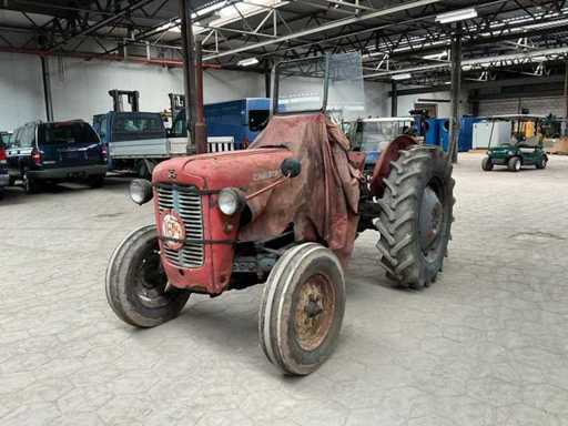 Massey Ferguson - MF35 - Zabytkowy traktor - lata 60.