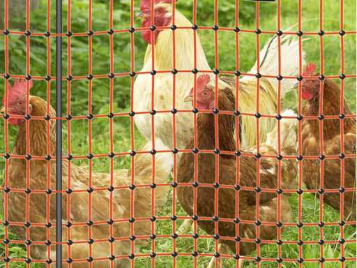 50 m electric net, 112 cm FarmNET poultry fence, dog fence