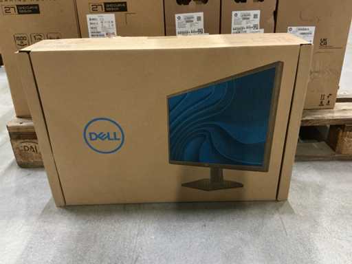 Moniteur SE2422H Dell