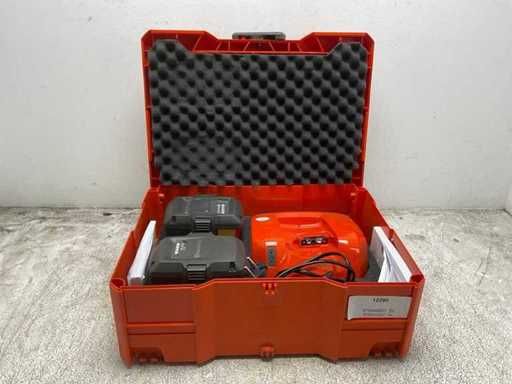 Battery pack (2 batteries with charger)