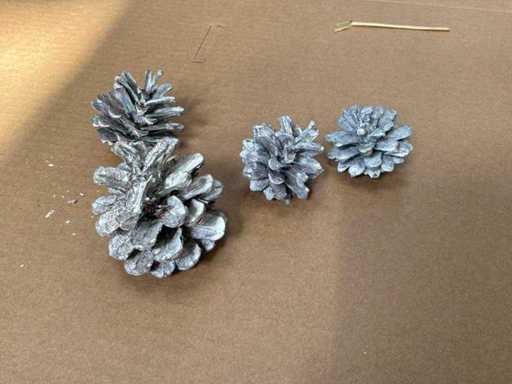 Lot de conuri de pin