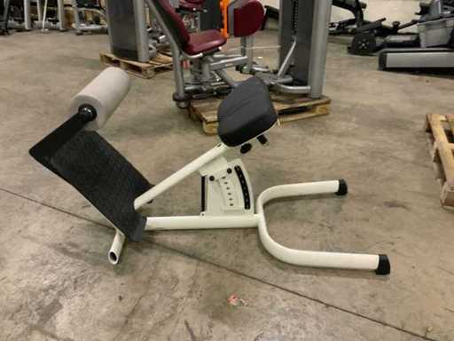 Gym80 Signum dolna część pleców Multi-gym