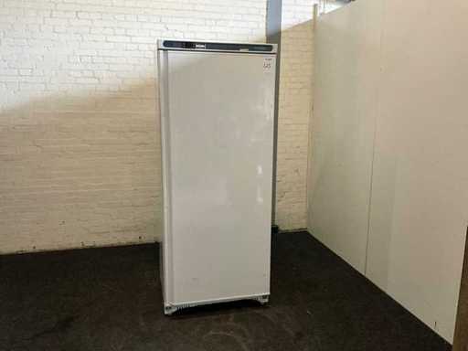 Congelatorul polar