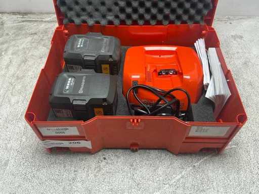 Battery pack (2 batteries incl. charger)