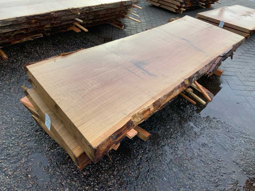 Oak scales (5x)