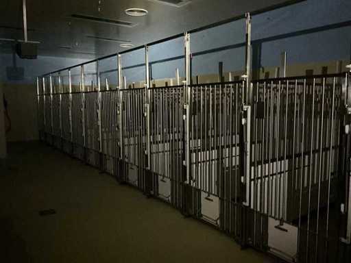 Dierenkooi-set (14x)