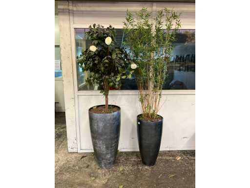 Plant met pot (2x)