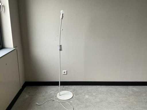 Pure Lamp