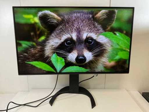 Eizo (EV3285) 32", 3840x2160 (UHD) IPS-Monitor