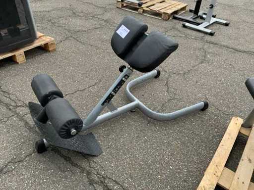 Gym80 Signum hyperextension Krachtstation