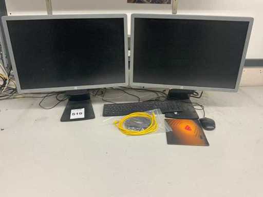 Monitor HP EliteDisplay E241i (2x)