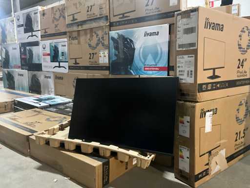 iiyama Monitor (24x)