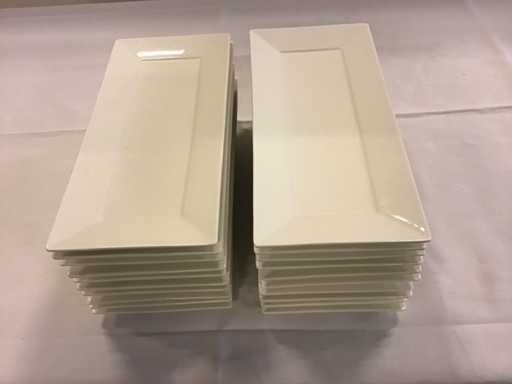 Piastra Palmer rettangolare 33x15 (20x)