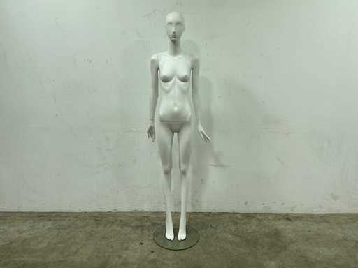 Manikin (6x)